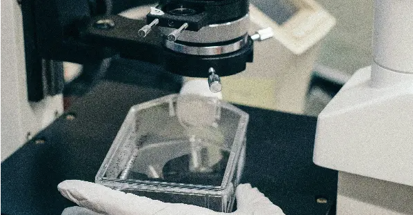 Five Principles for Responsible AI Use in Healthcare 
